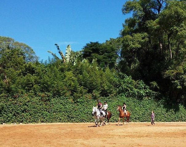 Workshop equestre, aula de montaria, hipismo, equitação