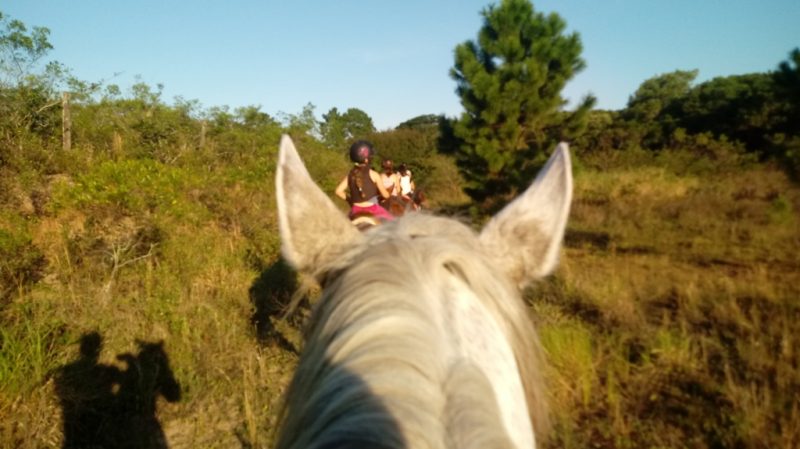 Passeio a cavalo