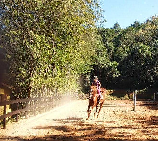 Alimentação faz meu cavalo ‘quente’?
