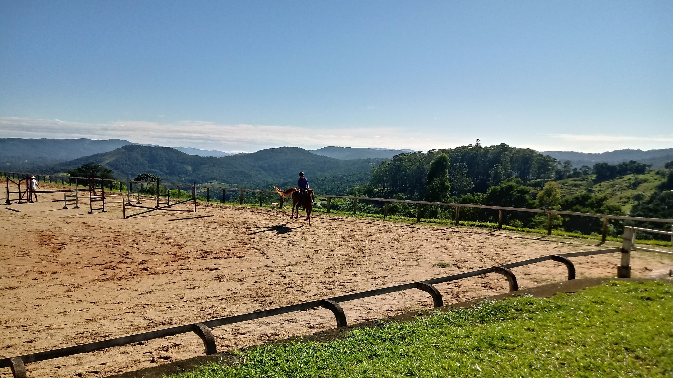 Aulas de hipismo equitação montaria