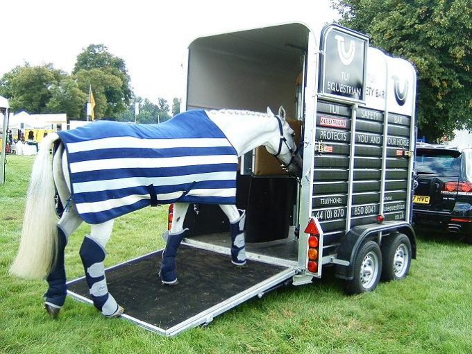 Transporte de cavalos