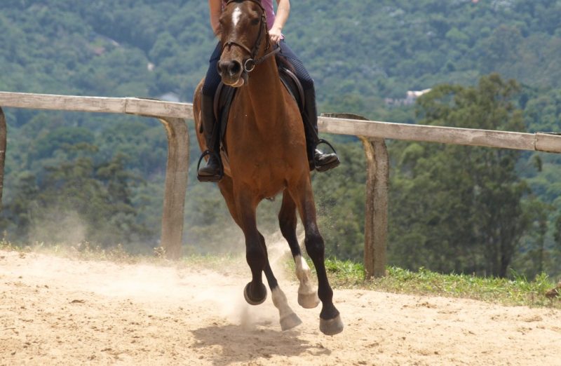 A importância do piso, by MAV