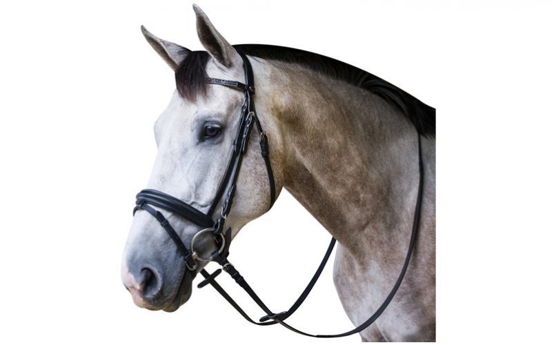 FEI permite a utilização de bridões bi-partidos nos eventos de dressage de 1* e 2* (VÍDEO)