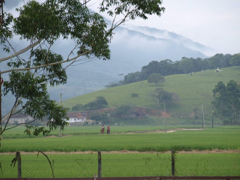 Retiros de bem-estar equinos, foto by MAV