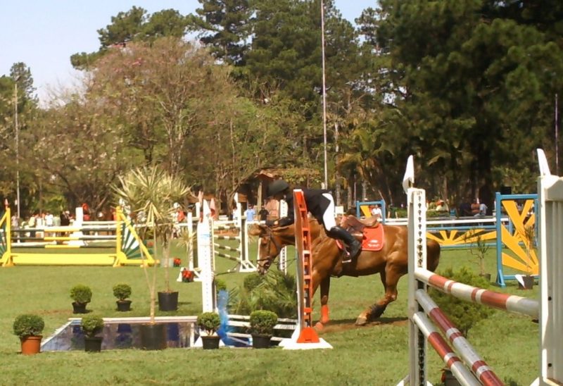 Será que os paramédicos em uma prova equestre sabem o que fazer?
