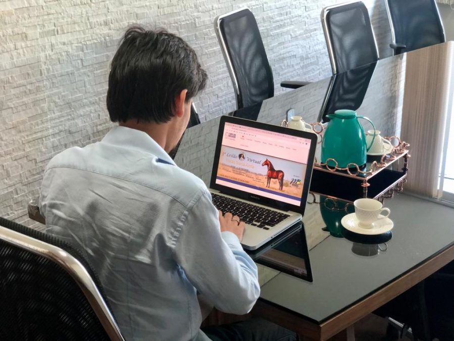 Leilão do Bem Campolina é sucesso em ações beneficentes pelo Brasil