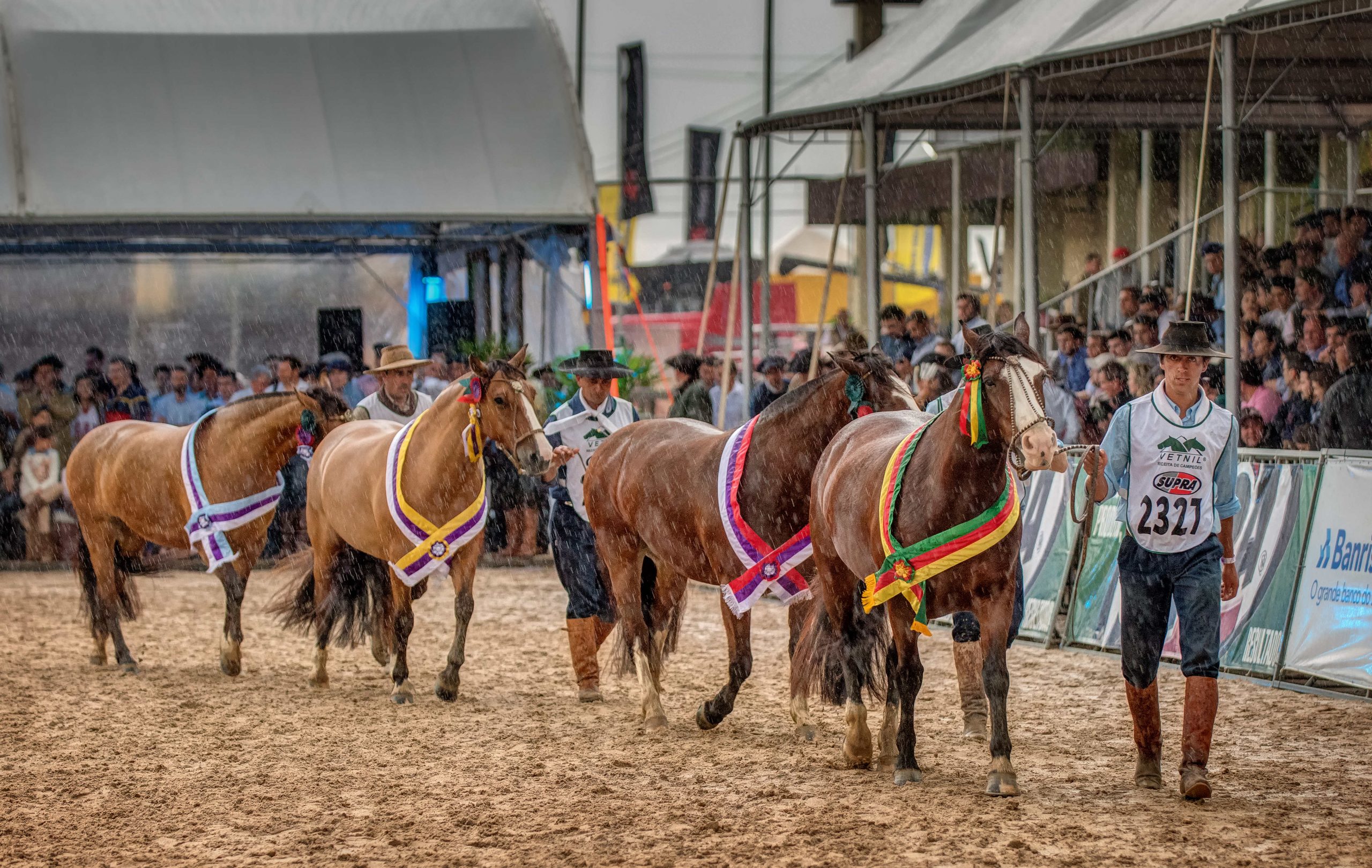 Expointer 2020 está oficialmente cancelada