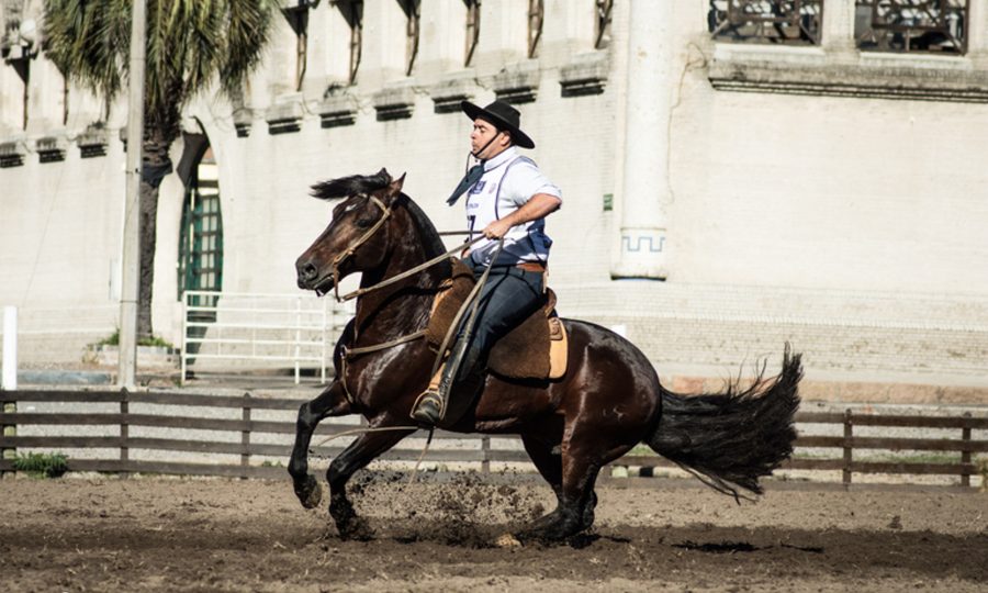 Classificatória uruguaia ao Freio de Ouro ocorre neste fim de semana