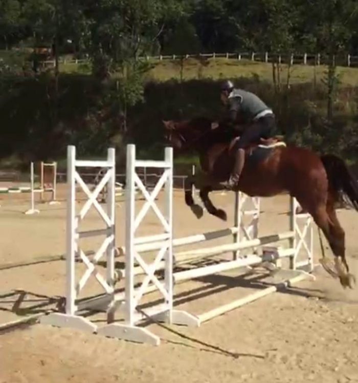 Eu e a Copinha Virtual de Salto