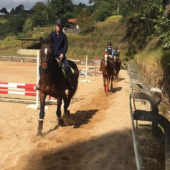 Aula de hipismo, equitação, montaria, aprender a montar cavalo