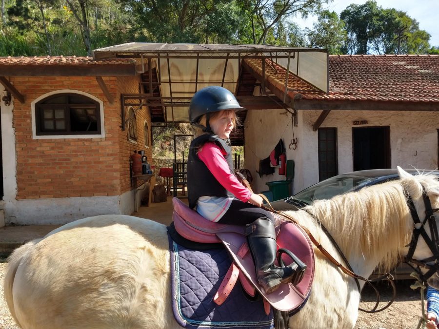 Cavalo tranquilo