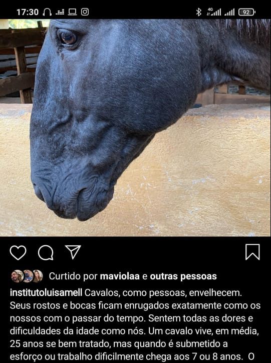Você sabe o quanto um proprietário de cavalo se importa com seu animal? Se não sabe vá conhecer.