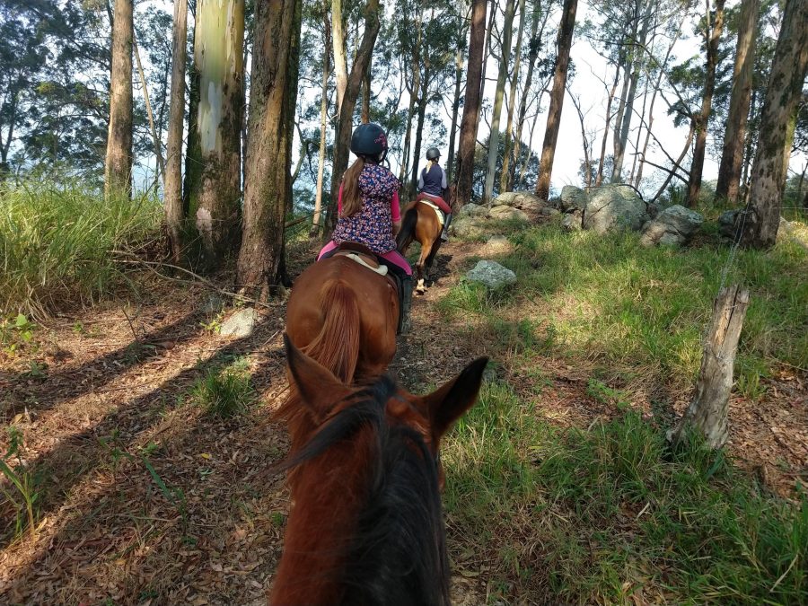 5 principais mitos sobre passeios a cavalo