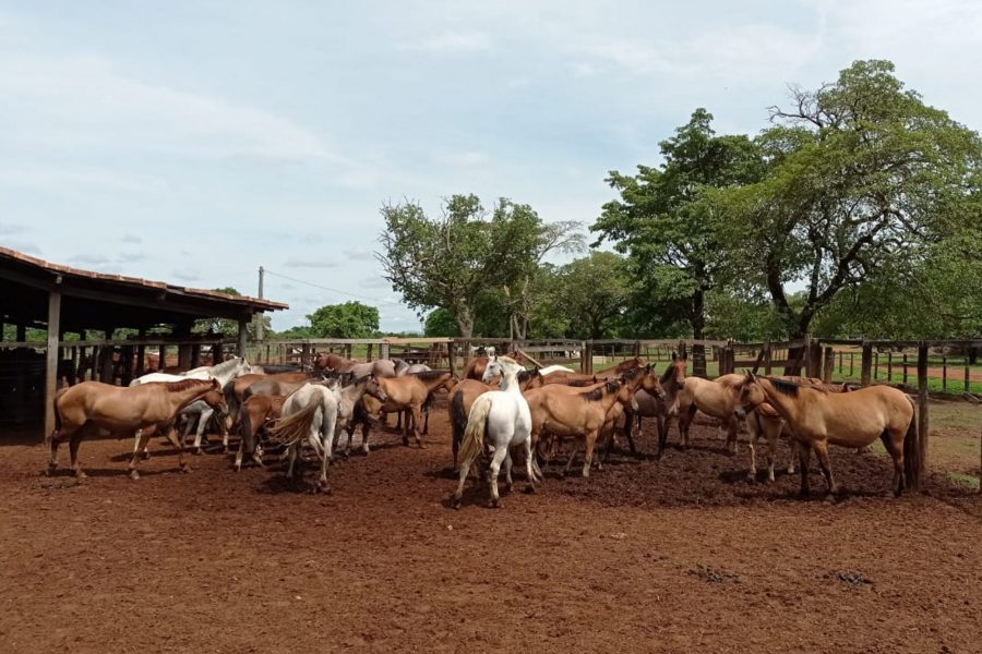 Gira Técnica no Tocantins chega ao fim com quase 3 mil quilômetros rodados