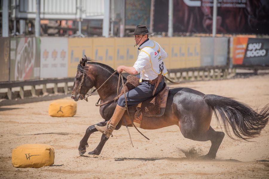 Freio do Proprietário define campeões do ciclo no final de semana