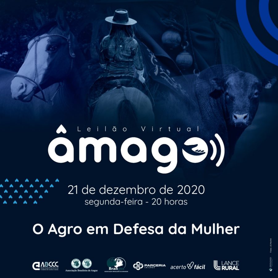 Leilão Âmago une o Agro para ajudar mulheres em situação de risco