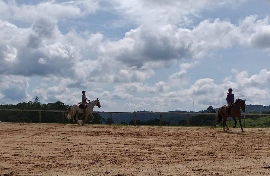 Vendo as arenas da perspectiva de um cavalo