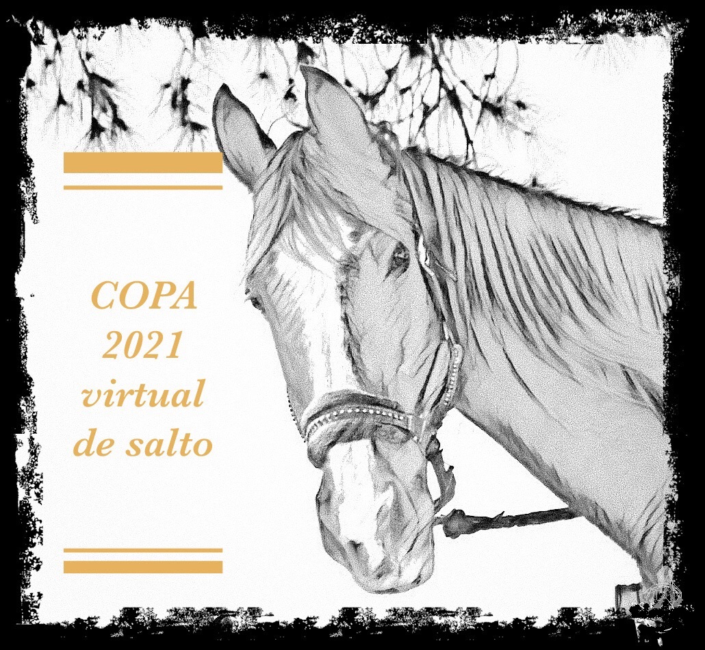 Chegou à COPA Virtual de Salto 2021 Clube do Hipismo