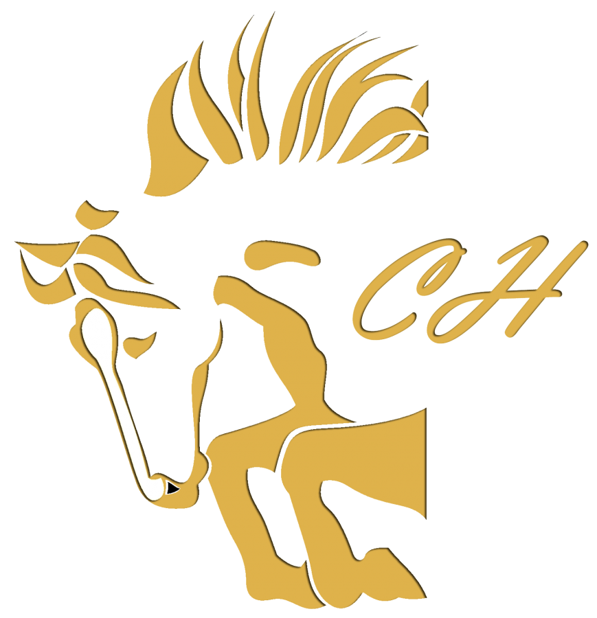 logo clube do hipismo