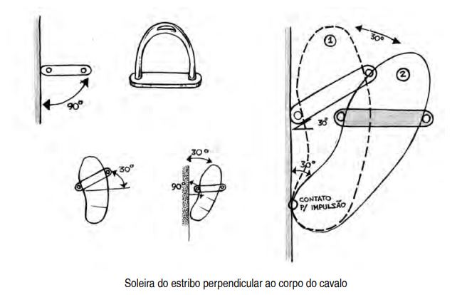 Soleira do estribo perpendicular ao corpo do cavalo
