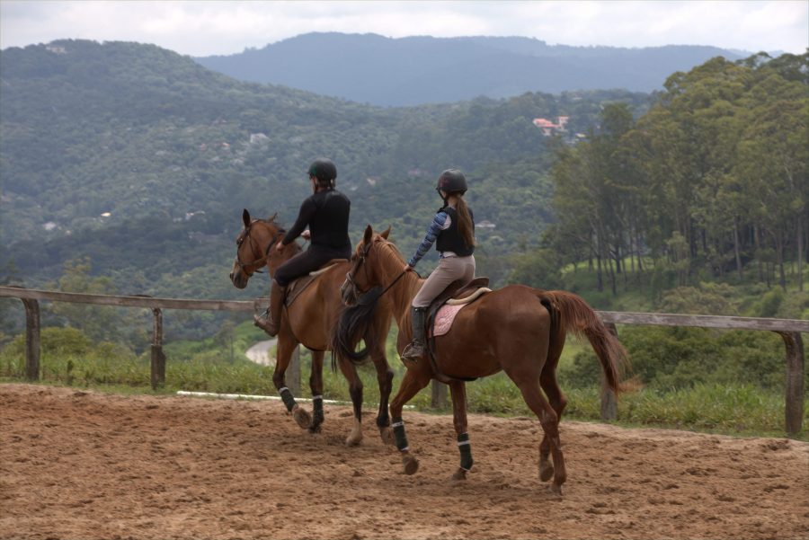 Benefícios de anar a cavalo para corpo e mente