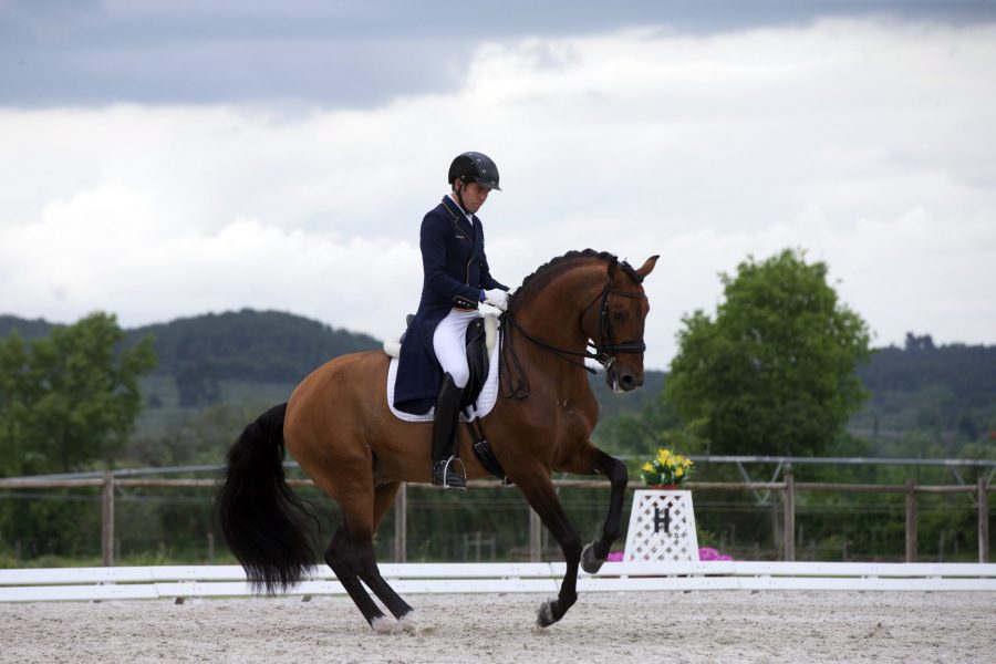 João Victor Marcari Oliva montando Escorial Horsecampline em Tóquio