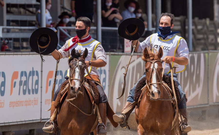 Ciclo do Cavalo Crioulo vai conhecer os melhores domadores do ano