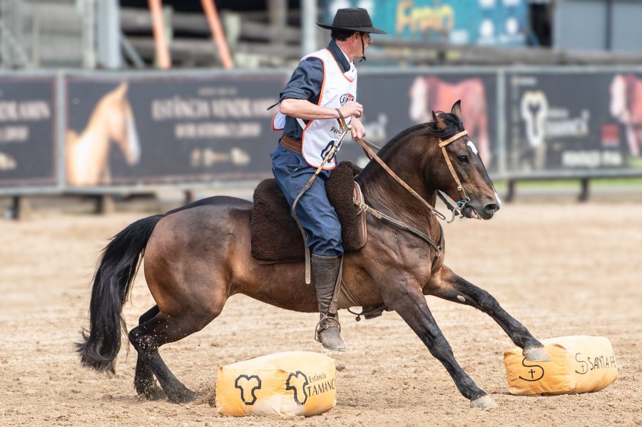 Conhecidos os vencedores da primeira Supercopa do Proprietário no Cavalo Crioulo