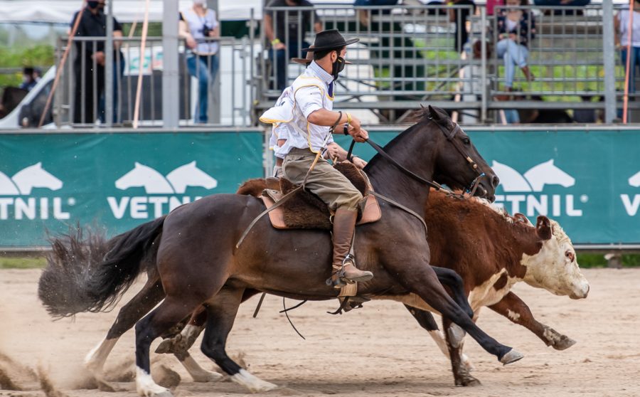 Freio de Ouro decide campeões do ciclo 2021 nesta semana