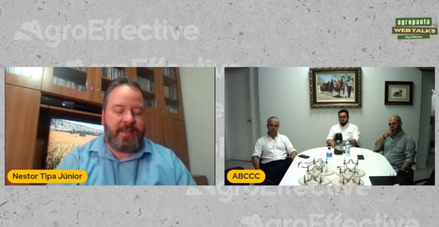 Web Talks Cavalo Crioulo