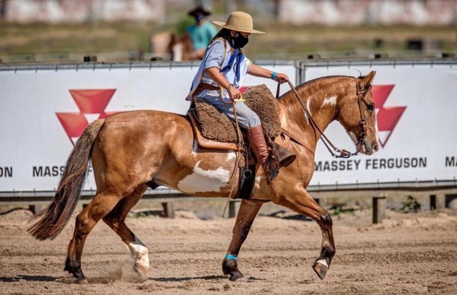Futuro do Cavalo Crioulo entra em pista com o Freio Jovem