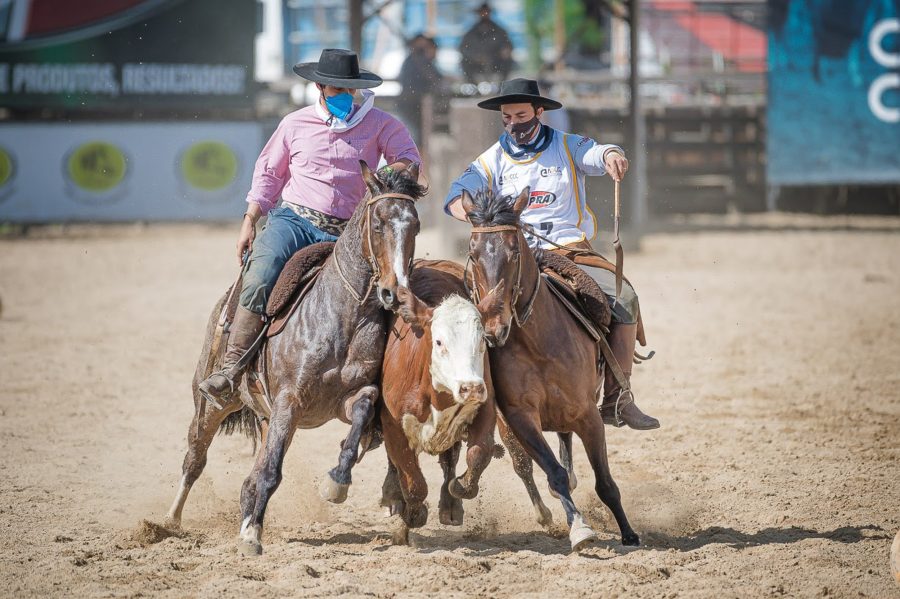 Final Nacional de Paleteadas define campeões do ciclo do Cavalo Crioulo