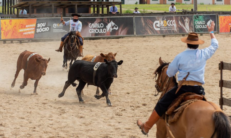 ABCCC realiza finais da Campereada e do Ranch Sorting no fim de semana