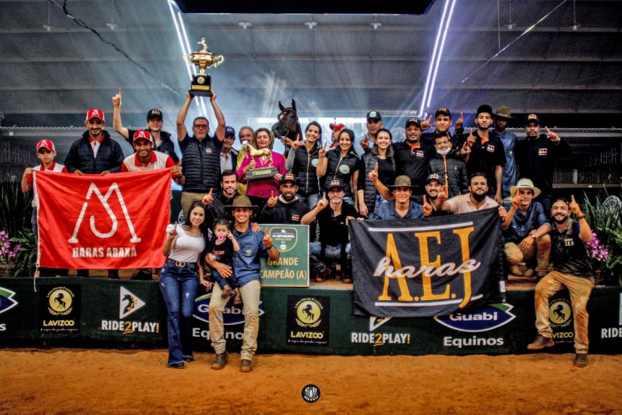 43ª Nacional Mangalarga elege os Grandes Campeões de 2021