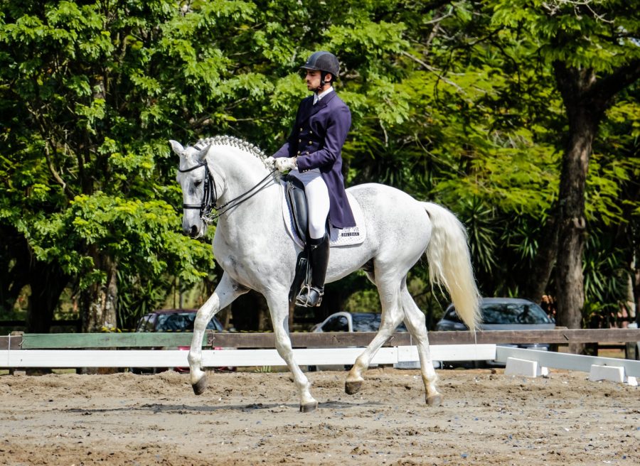 39ª Expo Internacional do Cavalo Lusitano recebe a Taça São Paulo de Adestramento