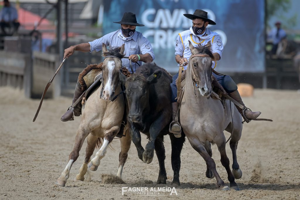 Finalista de Paleteada, CAMB Barbado (à esquerda) é um dos destaques da oferta (Foto Fagner Ameida)