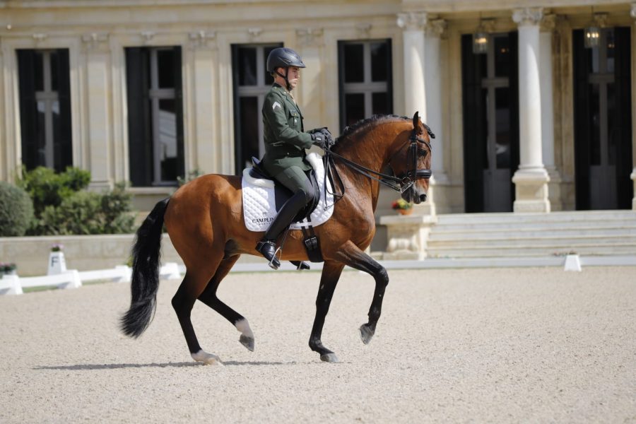 João Victor Marcari Oliva montando Escorial Horsecampline registra o melhor resultado do Brasil no Adestramento