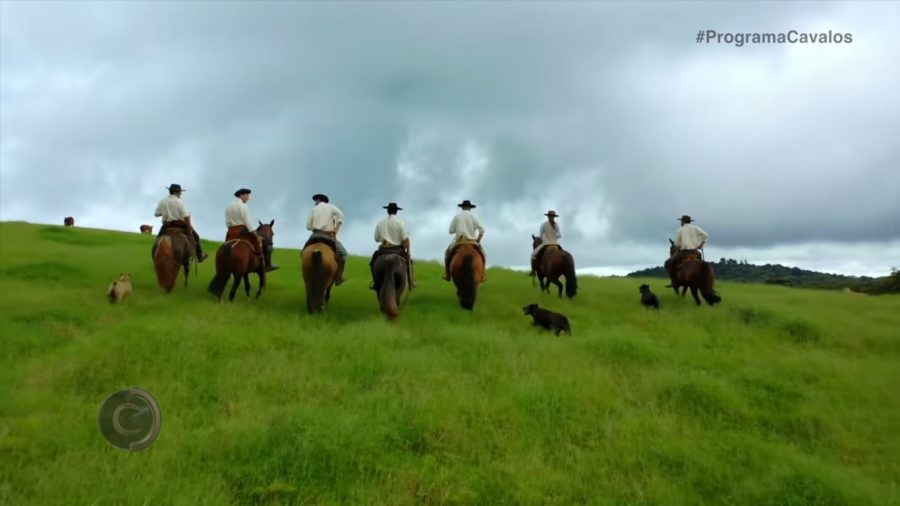 Programa Cavalos 26-03-2022