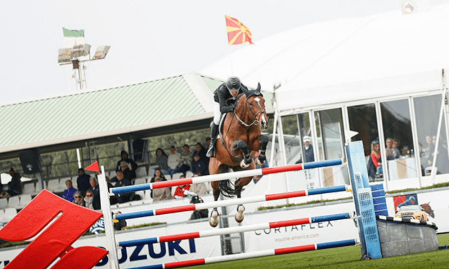 Bernardo Alves e Mosito van het Hellehof (@ahmed44photography)