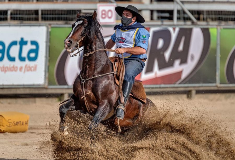 GAP Genética celebra 40 anos na criação de Cavalos Crioulos com leilão presencial