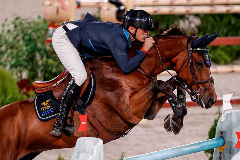 Cavalo sem ferradura