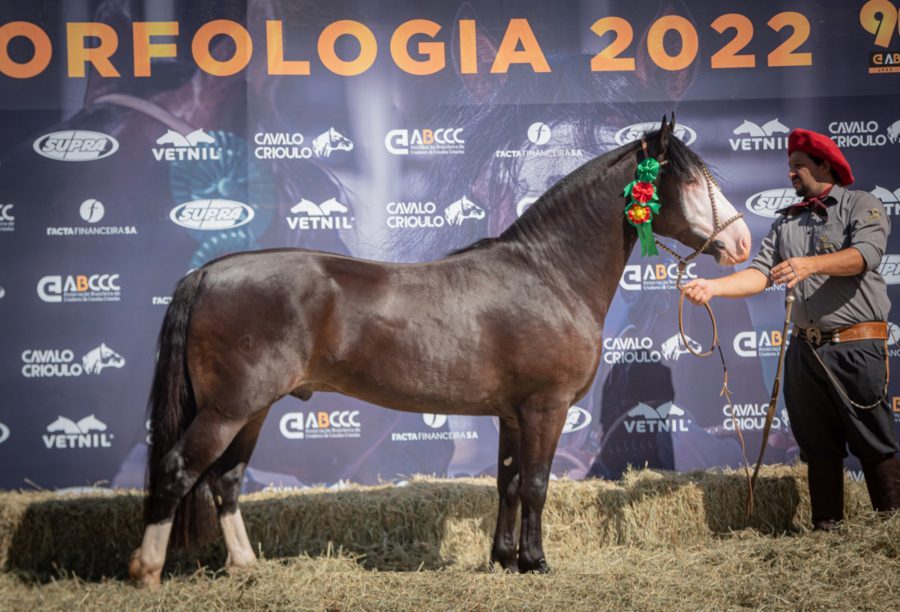 Passaporte em Campo Grande garante a vaga de oito animais à Morfologia Expointer 2022