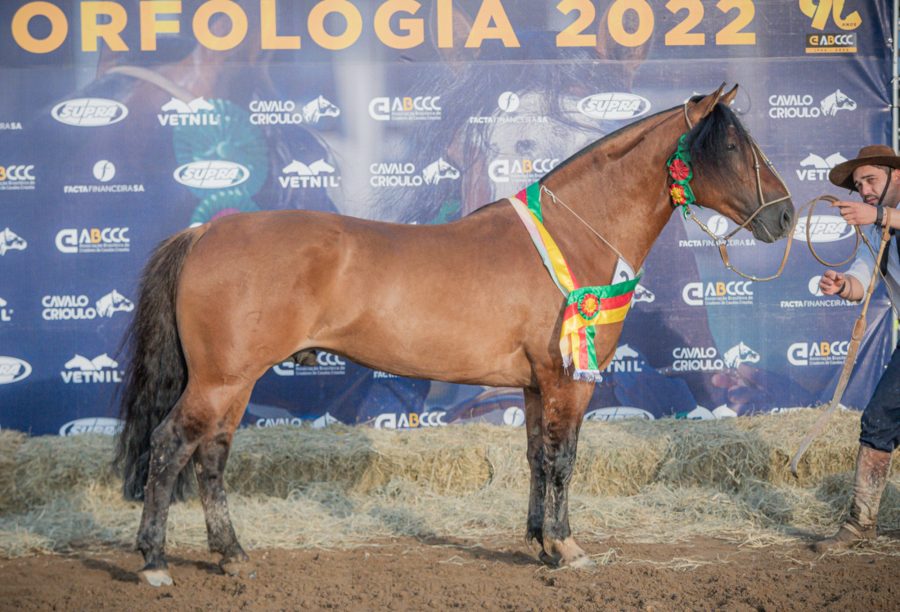 Primeiro Passaporte em São José garante mais oito animais na Morfologia Expointer