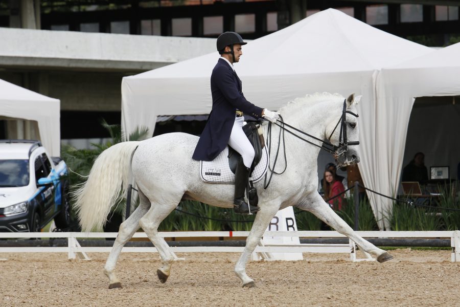 Lusitanos dominam pódios do Concurso de Adestramento Nacional