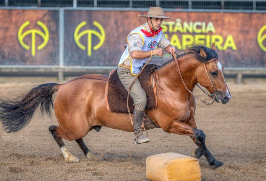 Classificatória Gaúcha Sul seleciona novos finalistas ao Freio de Ouro