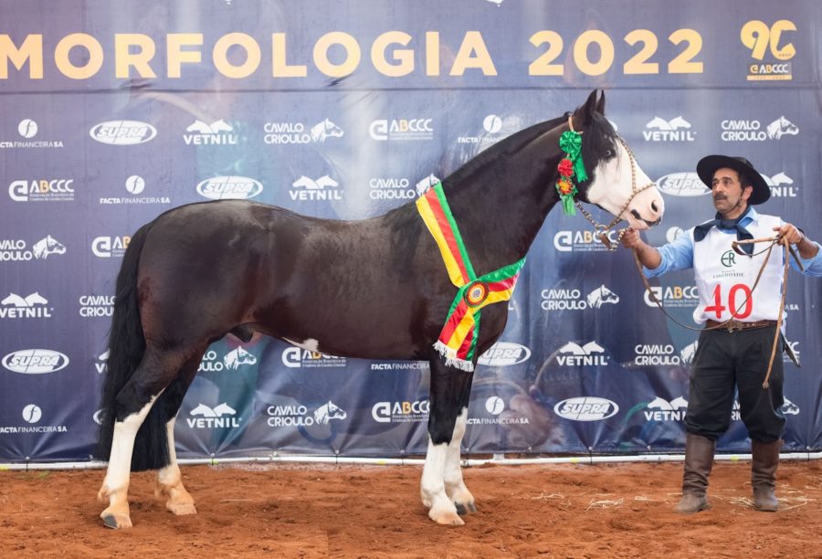 Rolante sedia Passaporte para Morfologia e classifica oito exemplares para Expointer