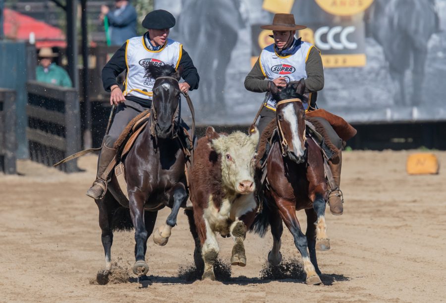 Paraná sedia Classificatória ao Freio de Ouro das regiões 5, 7 e 8