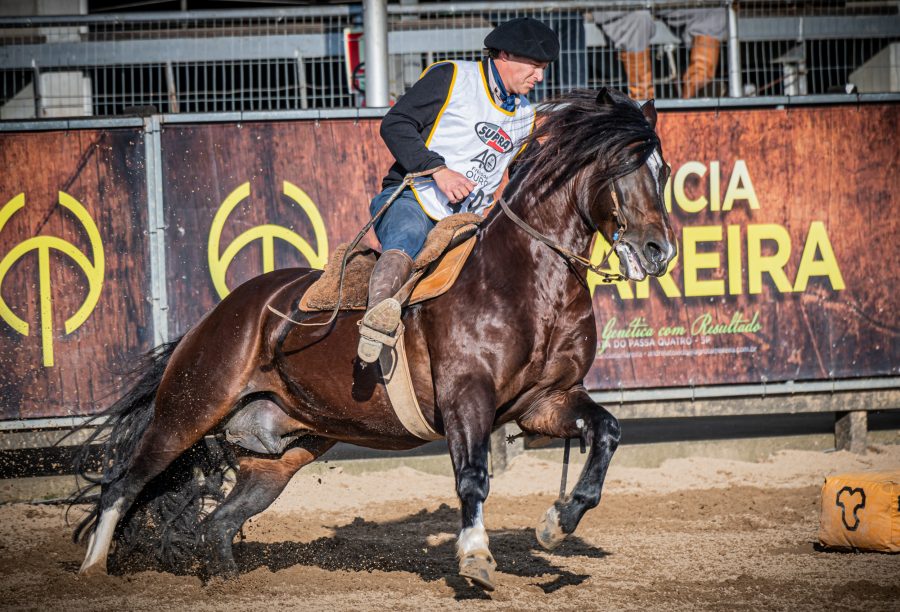 Freio de Ouro conhece seus novos 15 finalistas após seletiva
