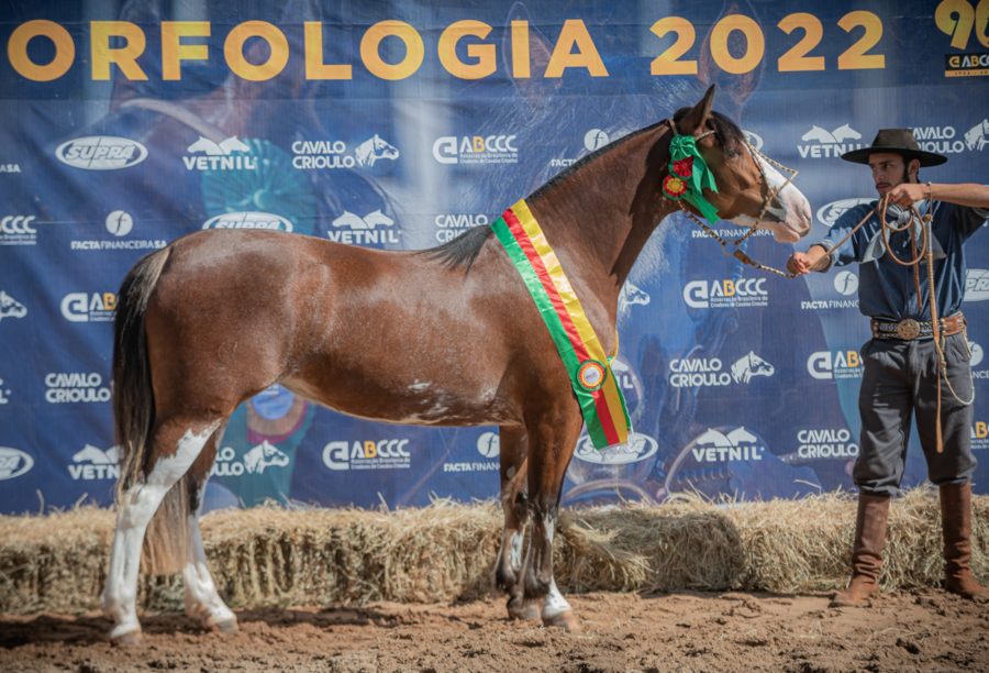 Ourinhos consagra mais oito exemplares para a Morfologia da Expointer 2022