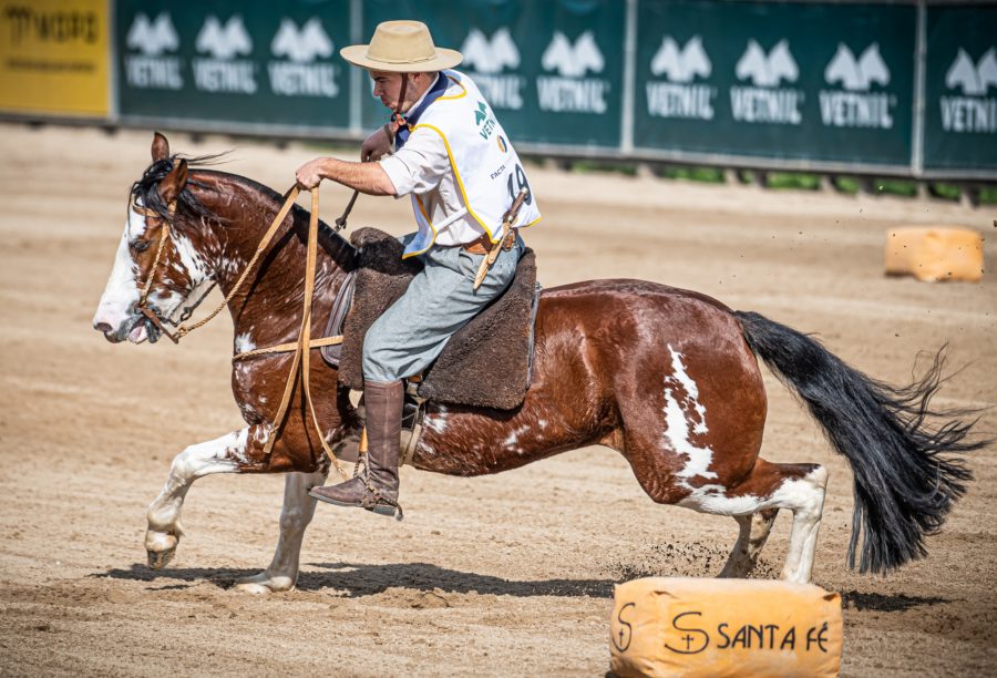 Conhecidos os últimos classificados para a final do Freio de Ouro